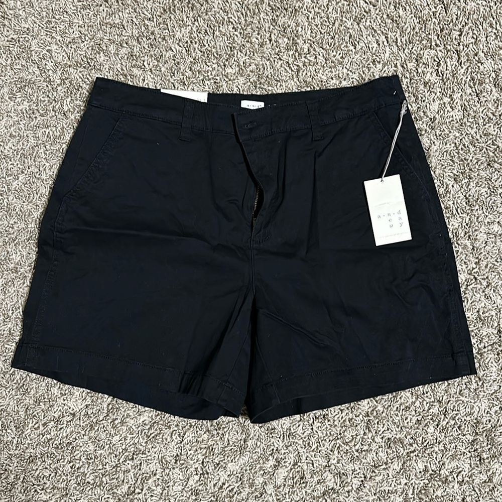 Tag still on- a•n•d e a w y-Chino Shorts